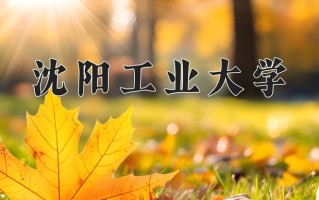 2025年沈阳工业大学在新疆计划招生人数（附学费及专业录取分)
