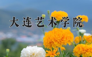 大连艺术学院王牌专业有哪些？附2025最新王牌专业排名一览表