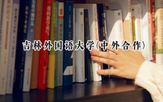 2024吉林外国语大学(中外合作)录取分数线：河南最低404分