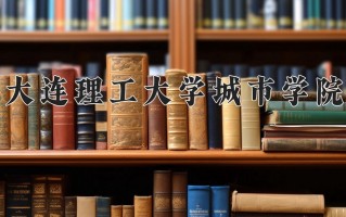 2025年大连理工大学城市学院在河南计划招生人数（附学费及专业录取分)