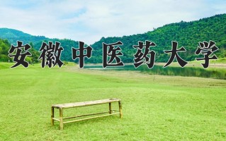 2025年安徽中医药大学在四川计划招生人数（附学费及专业录取分)