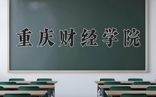 2025年重庆财经学院在新疆计划招生人数（附学费及专业录取分)