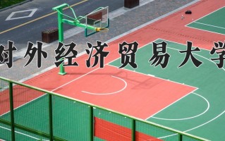 2025年对外经济贸易大学在河南计划招生人数（附学费及专业录取分)