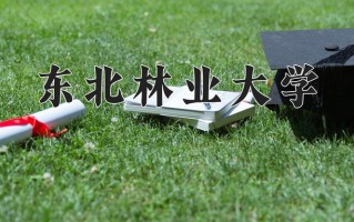 2025年东北林业大学在四川计划招生人数（附学费及专业录取分)