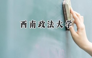 西南政法大学2024在福建录取分数线是多少？最低593分/最高635分