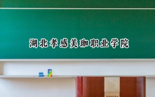 2024湖北孝感美珈职业学院录取分数线：河南最低177分