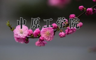2025年中原工学院在四川计划招生人数（附学费及专业录取分)