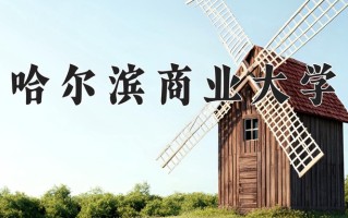 2025年哈尔滨商业大学在河南计划招生人数（附学费及专业录取分)