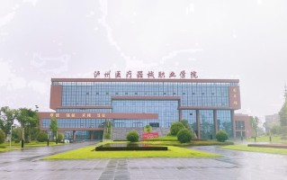 2024年泸州医疗器械职业学院录取分数线，河北最低295分