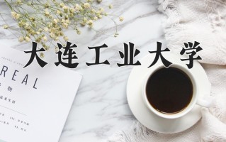 2025年大连工业大学在新疆计划招生人数（附学费及专业录取分)