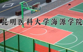 2025年昆明医科大学海源学院在新疆计划招生人数（附学费及专业录取分)