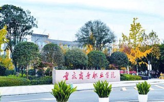 2024年重庆商务职业学院录取分数线，内蒙古最低235分