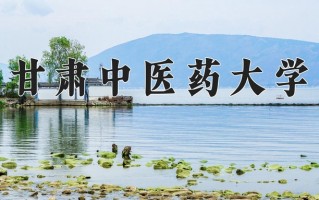 2025年甘肃中医药大学在四川计划招生人数（附学费及专业录取分)