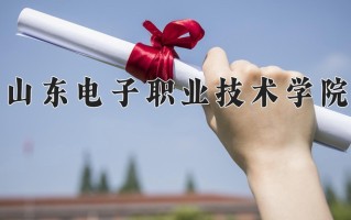 2024年山东电子职业技术学院录取分数线，河北最低374分