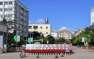 2024年云南医药健康职业学院录取分数线，河北最低281分