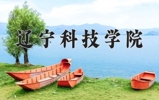 2025年辽宁科技学院在河南计划招生人数（附学费及专业录取分)