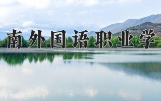 2025年海南外国语职业学院在河南计划招生人数（附学费及专业录取分)