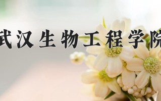 2025年武汉生物工程学院在新疆计划招生人数（附学费及专业录取分)