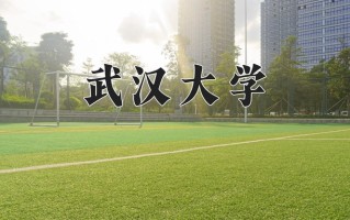 2025年武汉大学在新疆计划招生人数（附学费及专业录取分)