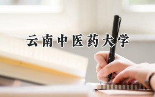 云南中医药大学2024在青海录取分数线是多少？最低380分/最高477分