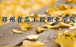 2025年郑州食品工程职业学院在河南计划招生人数（附学费及专业录取分)