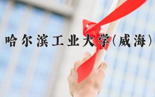 2025年哈尔滨工业大学(威海)在四川计划招生人数（附学费及专业录取分)