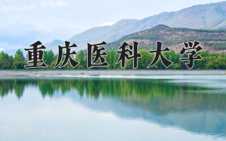 2025年重庆医科大学在新疆计划招生人数（附学费及专业录取分)