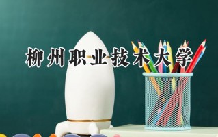 2024柳州职业技术大学录取分数线：河南最低295分