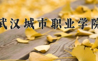 2025年武汉城市职业学院在四川计划招生人数（附学费及专业录取分)