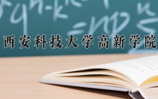 2025年西安科技大学高新学院在新疆计划招生人数（附学费及专业录取分)