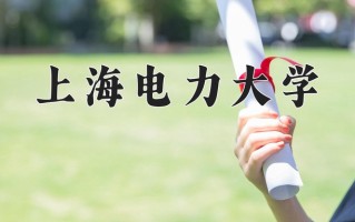 2025年上海电力大学在四川计划招生人数（附学费及专业录取分)