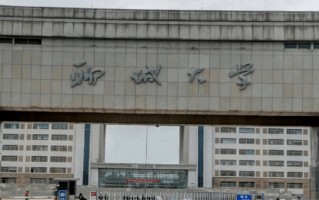 2024年聊城大学录取分数线，河北最低518分