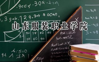 山东服装职业学院2024在山东录取分数线是多少？最低327分/最高500分