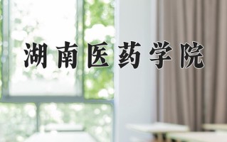 2025年湖南医药学院在新疆计划招生人数（附学费及专业录取分)