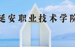 2025年延安职业技术学院在四川计划招生人数（附学费及专业录取分)