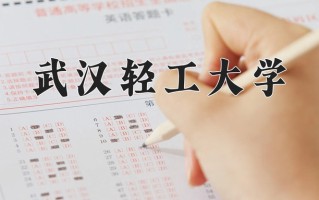 2025年武汉轻工大学在新疆计划招生人数（附学费及专业录取分)
