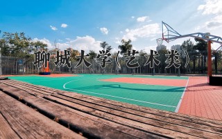 2024年聊城大学(艺术类)录取分数线，河北最低470分