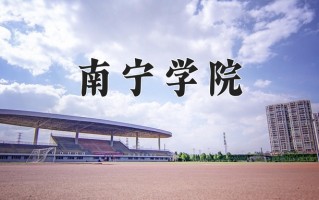 2025年南宁学院在河南计划招生人数（附学费及专业录取分)