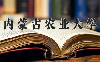 2025年内蒙古农业大学在四川计划招生人数（附学费及专业录取分)
