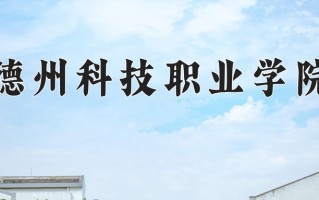 2025年德州科技职业学院在河南计划招生人数（附学费及专业录取分)