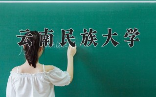2025年云南民族大学在四川计划招生人数（附学费及专业录取分)