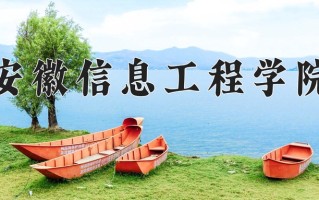 安徽信息工程学院王牌专业有哪些？附2025最新王牌专业排名一览表