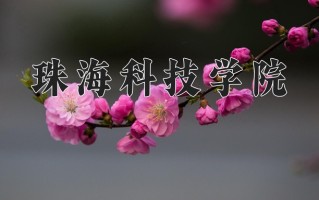 2025年珠海科技学院在四川计划招生人数（附学费及专业录取分)