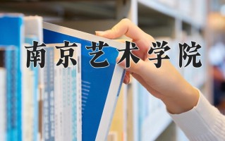 2025年南京艺术学院在新疆计划招生人数（附学费及专业录取分)