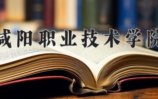2025年咸阳职业技术学院在四川计划招生人数（附学费及专业录取分)