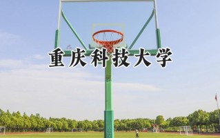 2024重庆科技大学录取分数线：宁夏最低430分
