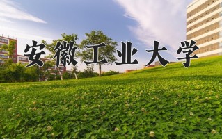 2025年安徽工业大学在河南计划招生人数（附学费及专业录取分)