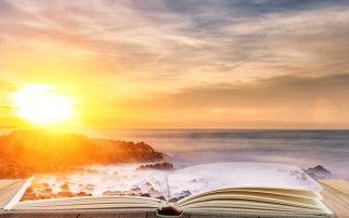 2025年青岛求实职业技术学院在广东计划招生人数（附学费及专业录取分）