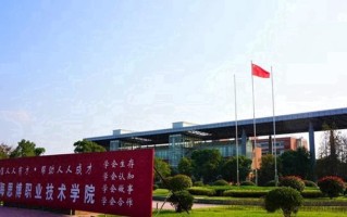 2024年上海思博职业技术学院录取分数线，河北最低250分