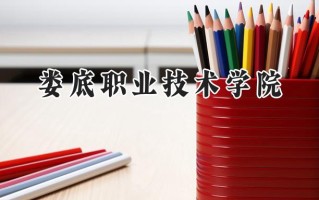 娄底职业技术学院2024在青海录取分数线是多少？最低238分/最高347分
